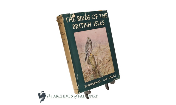 Big image 64.1 bottom