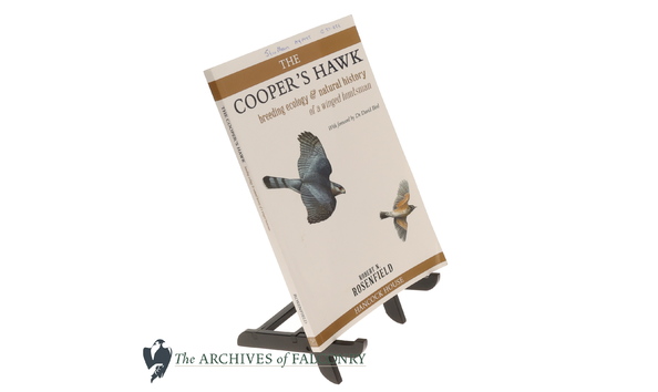 Big image 83.1 bottom