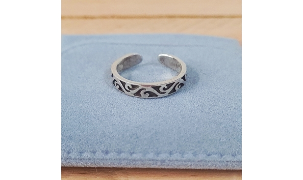 Big image leskes149silvertoering1