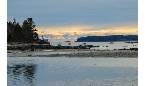 Big image spruce head