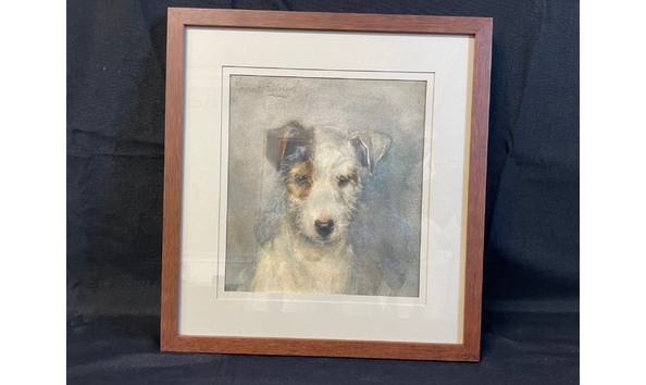 Big image jack russell
