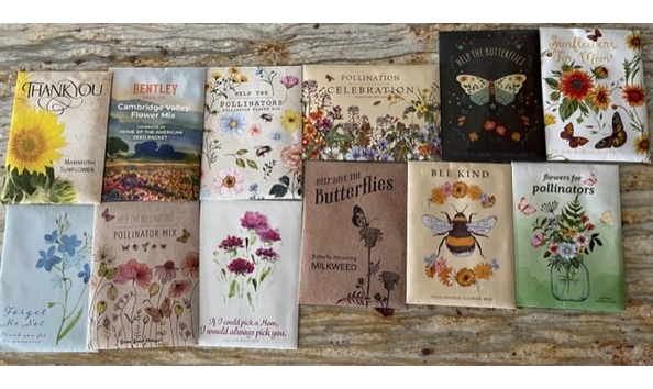 Big image seed baske 2