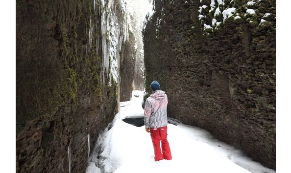 Big image 306526495 1067360400566698 1609608536506467380 n  1    border lakes tour company