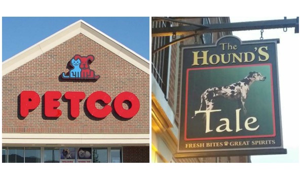 Big image puppy package