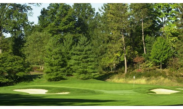 Big image mini magick20230720 61307 wf0wd9