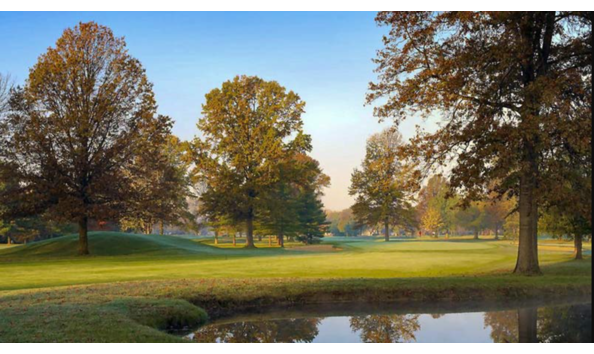 Big image mini magick20230720 61307 iweur