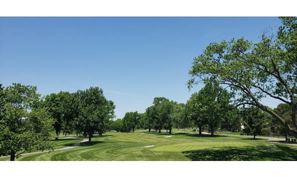 Big image mini magick20230720 61307 dduo1z