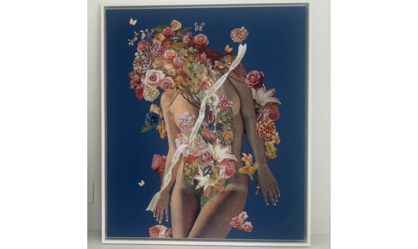 Big image stephanie hirsch art