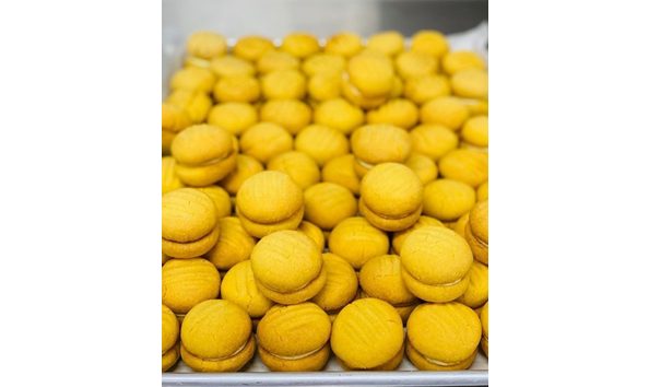 Big image mini magick20230724 34517 1bfxv8l