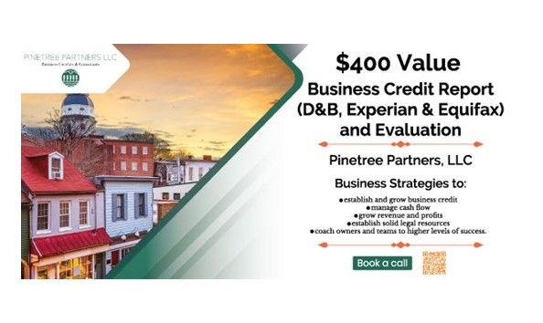 Big image credit report