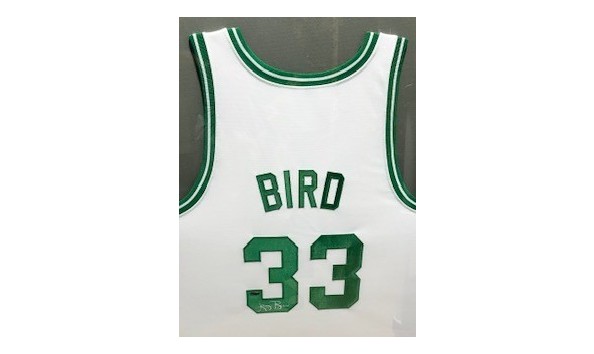 Big image bird close up small