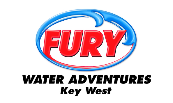 Big image logo  fury