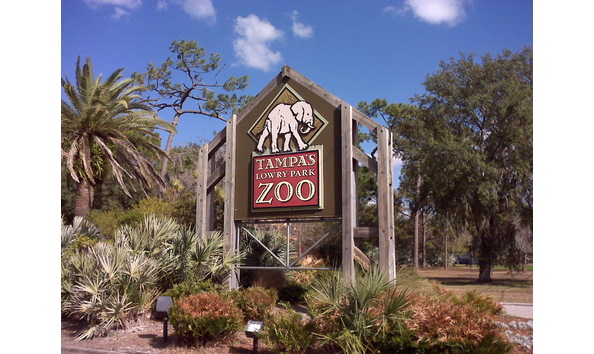 Big image lowry park zoo