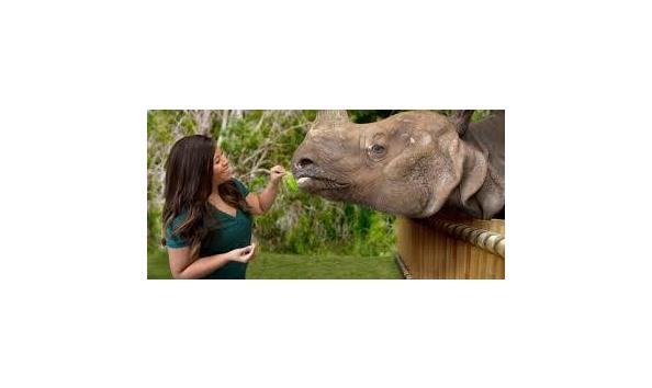 Big image lowry park zoo1