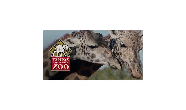 Big image lowry park zoo