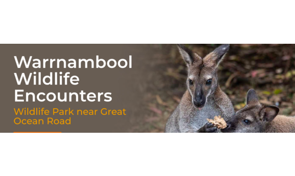 Big image mini magick20230727 87067 1dfn12l