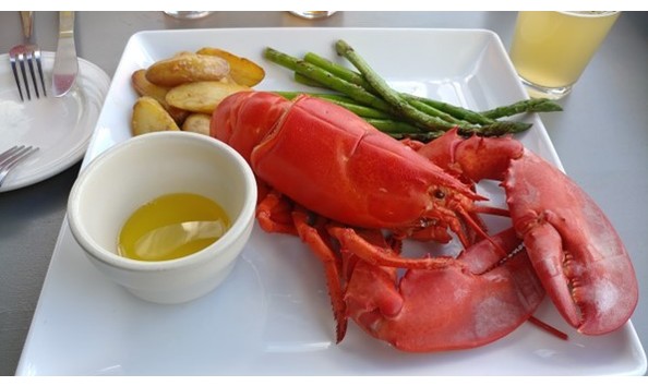 Big image landings 2