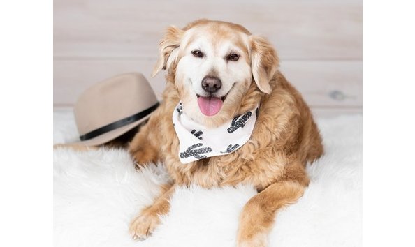 Big image mini magick20230803 118138 dz80ow