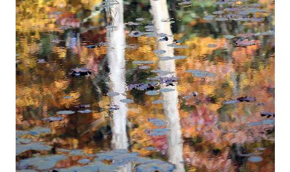 Big image painterly reflection