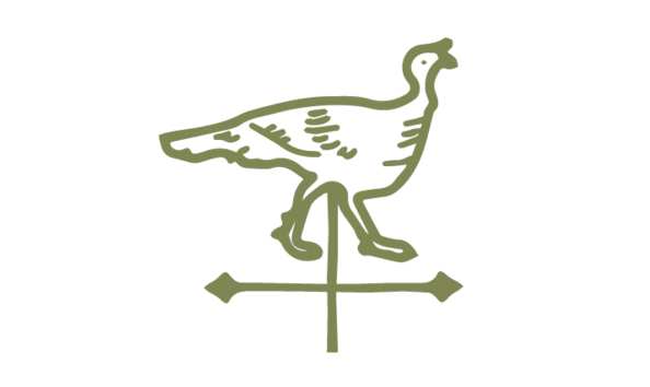 Big image seminary hill branding   elements all wind vane   orchard green