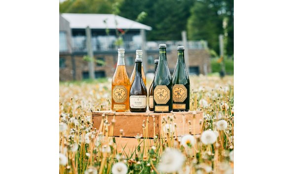 Big image 2022.05.16 cider subscription 08