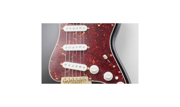 Big image wjff auction guitar 02