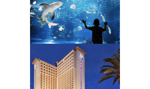 Big image screenshot 2023 08 11 at 2.41.51 pm