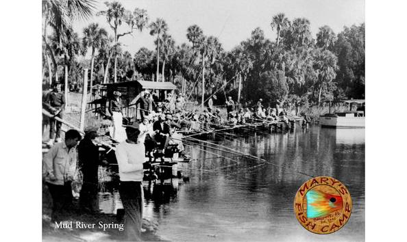 Big image marys fish camp