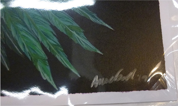 Big image mini magick20230817 28349 1lt2r82