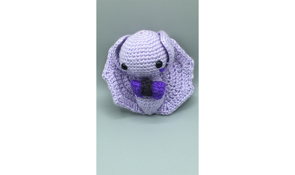 Big image mini magick20230817 28349 1hwgs5v