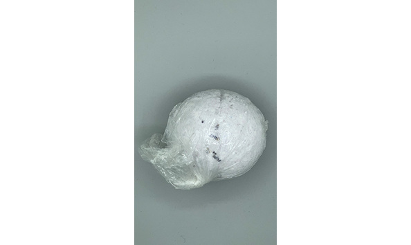 Big image mini magick20230817 28349 mv1362