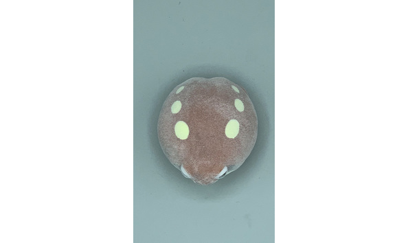 Big image mini magick20230817 28349 1p3k4vs