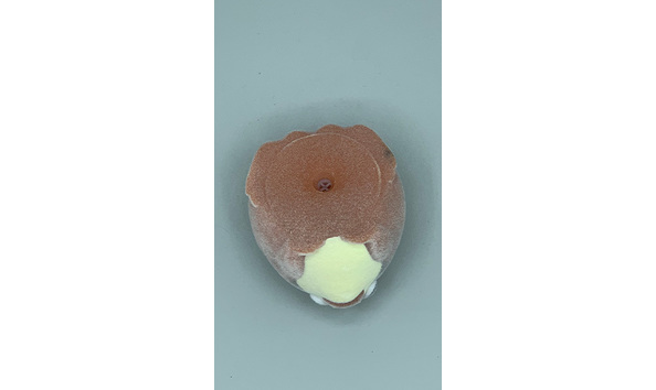 Big image mini magick20230817 28349 1ryr5mc