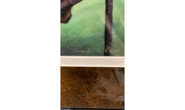 Big image 202307art006 2   does this make me look fat 