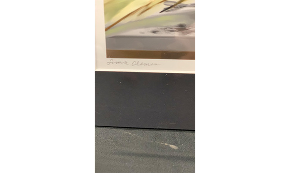 Big image 202307art011 4   one fine day at the vet