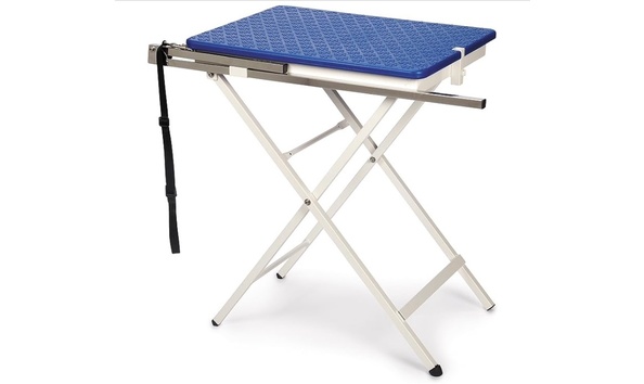 Big image grooming table 1   annual auction