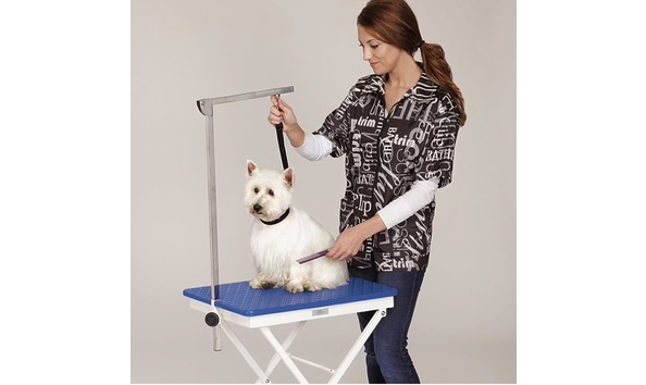 Big image grooming table 2   annual auction