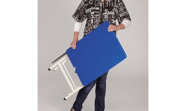 Big image grooming table 3   annual auction