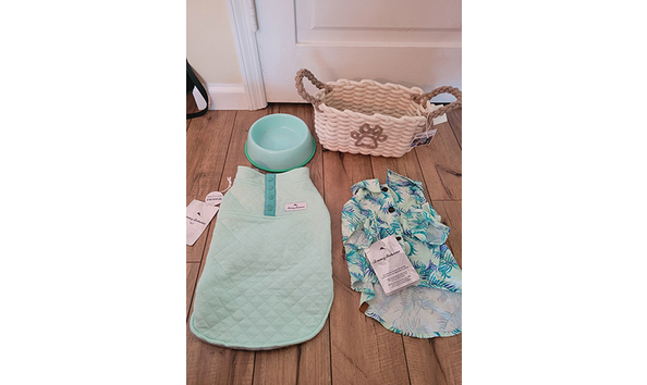 Big image dog basket 2   jennifer jablonski