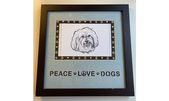 Big image love peace havanese   donna rotoloni