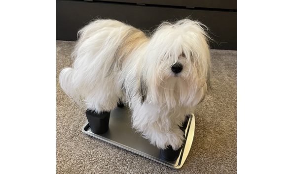 Big image large stack3   donna rotoloni