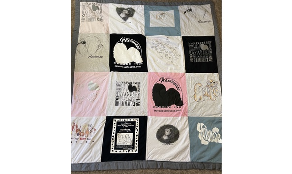 Big image t shirt quilt 1   donna rotoloni