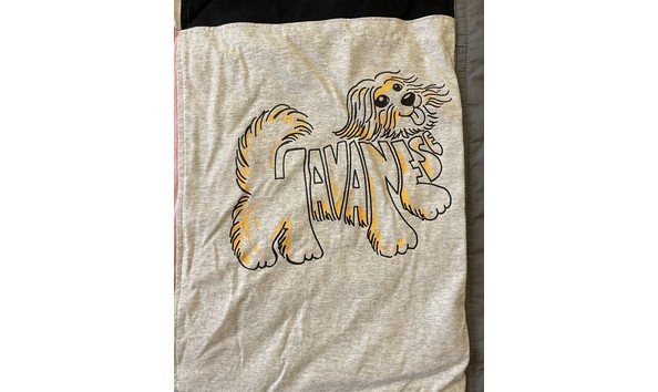 Big image t shirt quilt3   donna rotoloni 1