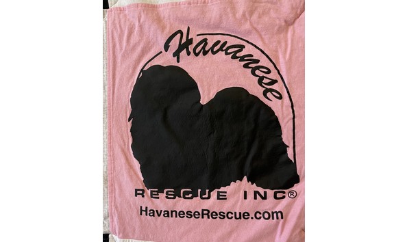 Big image t shirt quilt4   donna rotoloni 1