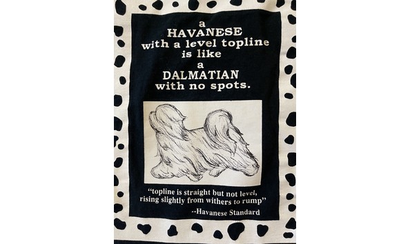 Big image t shirt quilt 2   donna rotoloni 1