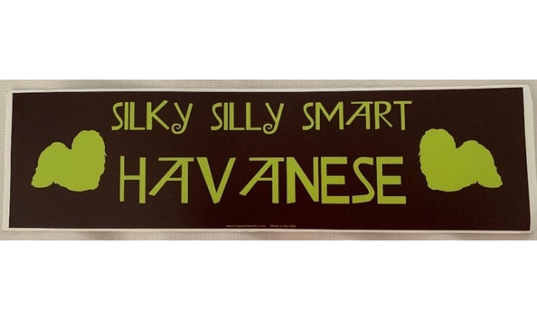 Big image silky silly and smart   donna rotoloni