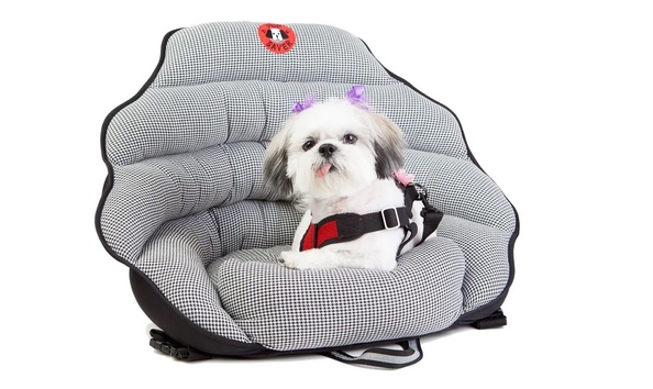 Big image pupsaver 1   annual auction