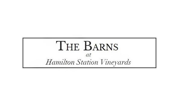 Big image mini magick20230822 73603 ebowsp