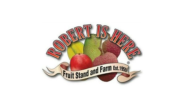 Big image logo  robert is here