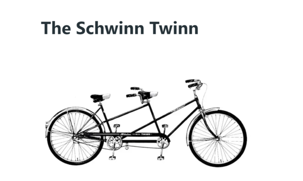 Big image schwinn twinn